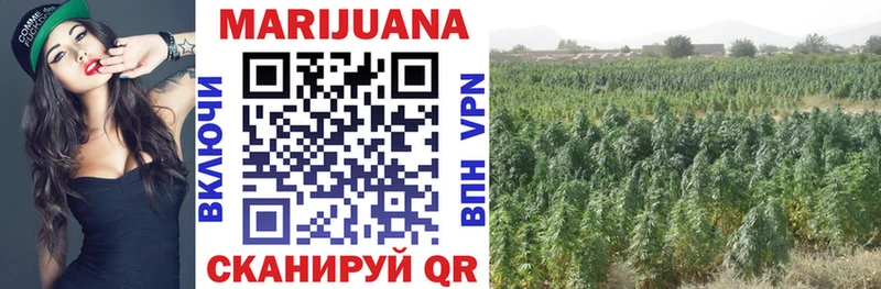 Бошки марихуана Amnesia  Купить закладки  Афипский 